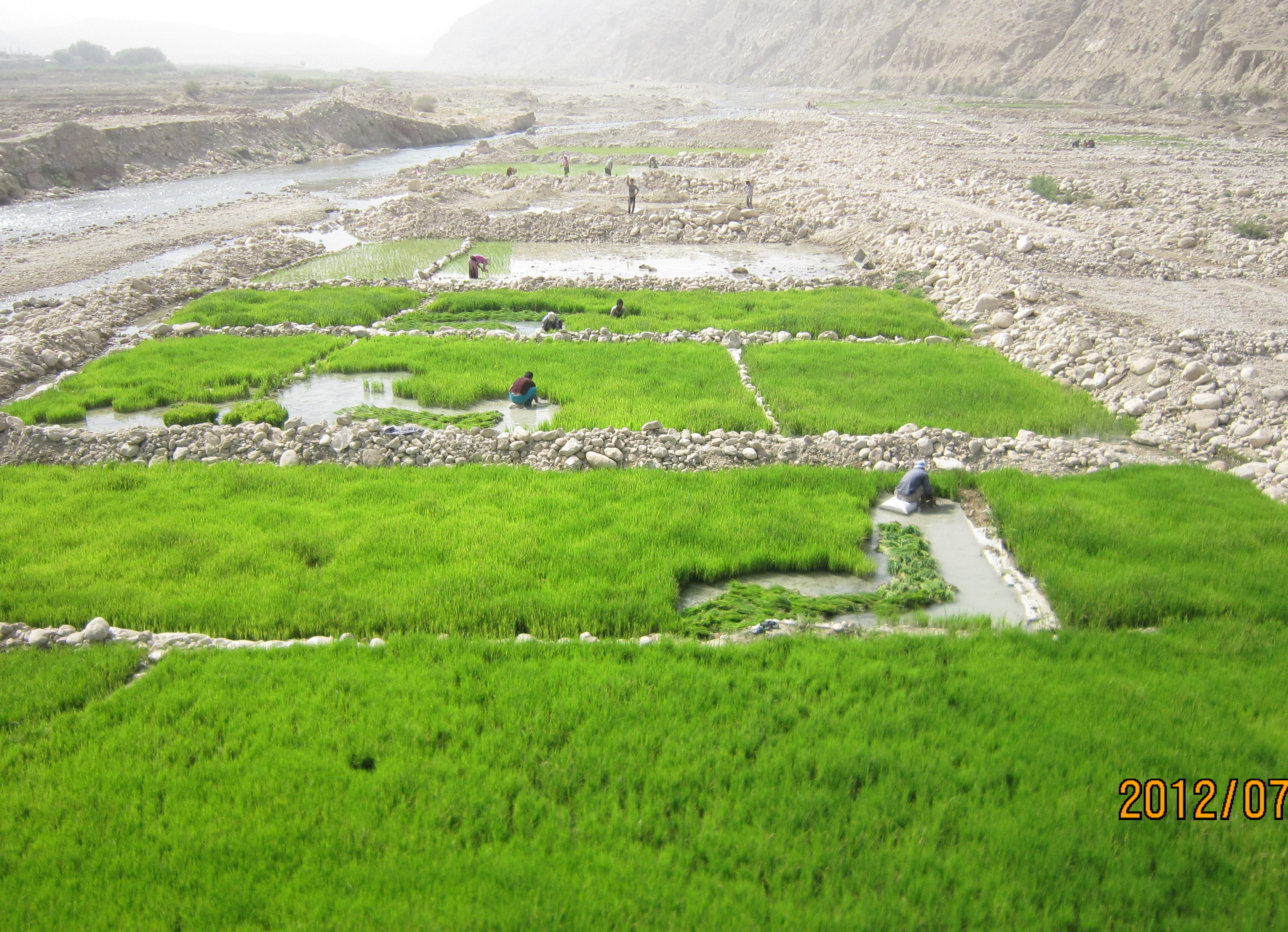 گروه مهندسی رودخانه