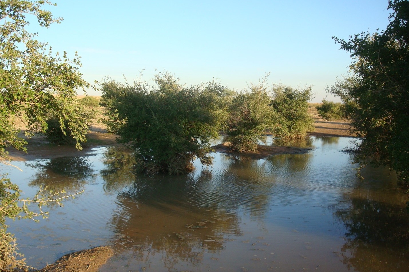 آبخوان