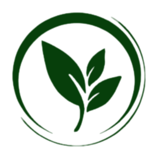 وب اپلیکیشن تاک