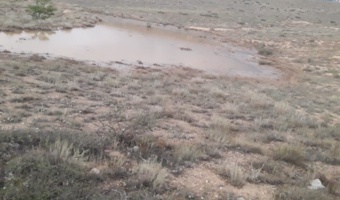 «طی بارندگی روزانه ۲۵ میلی‌متری»