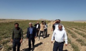 پوشش رسانه‌ای شبکه خبر از دستاوردهای ایستگاه پخش سیلابی قره‌چریان زنجان