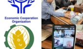 ظرفیت‌های سرمایه‌گذاری کشاورزی ایران با حضور نمایندگان اکو و سازمان اسلامی امنیت غذایی بررسی شد