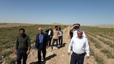 پوشش رسانه‌ای شبکه خبر از دستاوردهای ایستگاه پخش سیلابی قره‌چریان زنجان