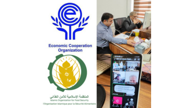 ظرفیت‌های سرمایه‌گذاری کشاورزی ایران با حضور نمایندگان اکو و سازمان اسلامی امنیت غذایی بررسی شد