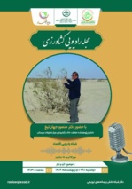 بررسی موضوع گرد و غبار در سیستان با حضور دکتر منصور جهان تیغ در برنامه رادیو اقتصاد